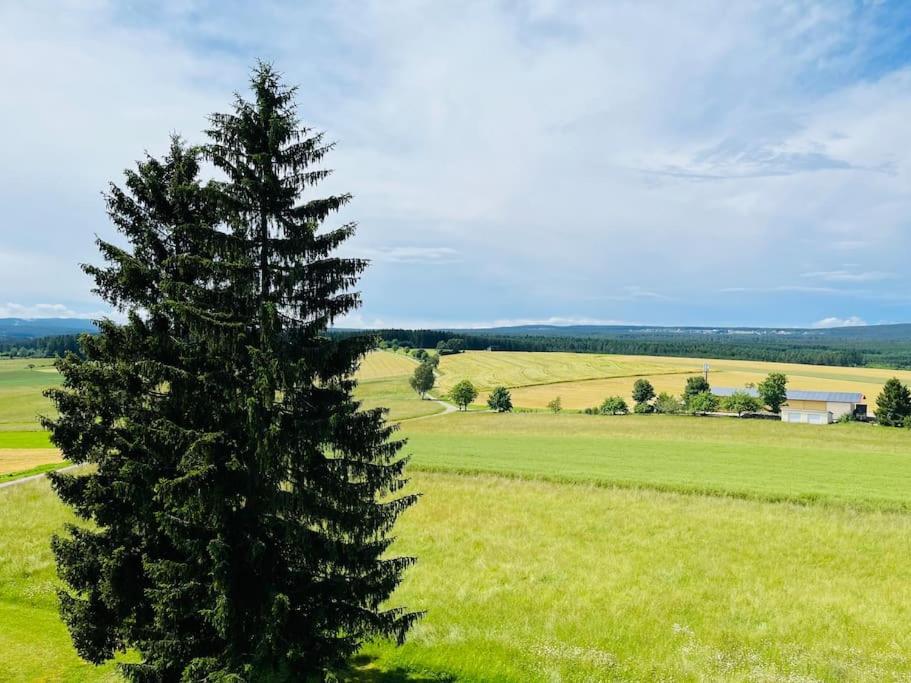 Apartment Mit Gruenblick & Wintergarten Im Schwarzwald *