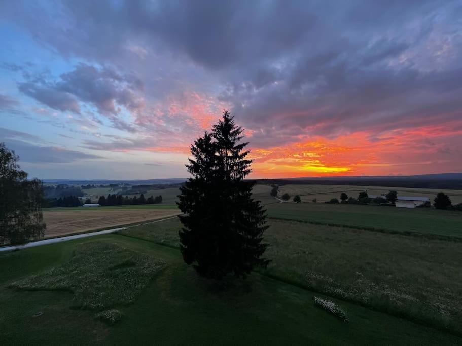 Mit Gruenblick & Wintergarten Im Schwarzwald