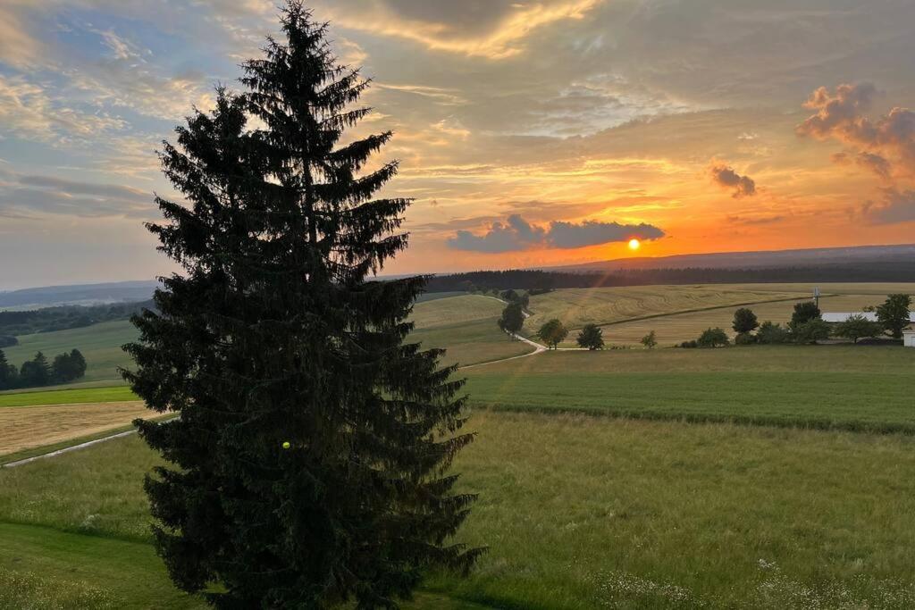 Mit Gruenblick & Wintergarten Im Schwarzwald Apartment Loeffingen